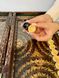 Handmade backgammon with carving under glass, 58×28×10 cm, art. 192376, Brown